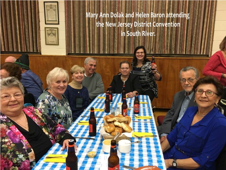 Photo 7 from Recent Pictures from St. John's