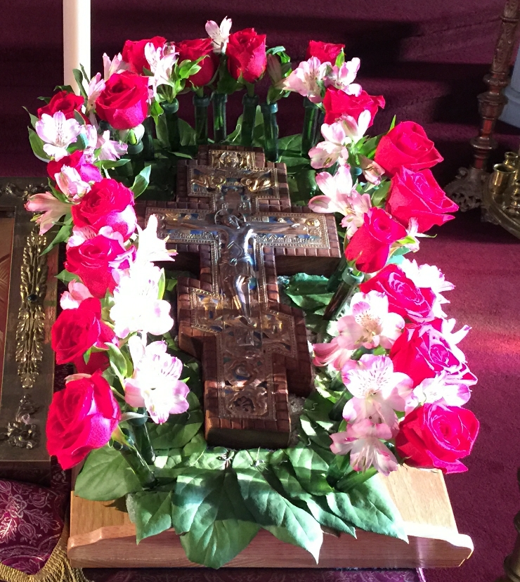 Photo 1 from March Gladness