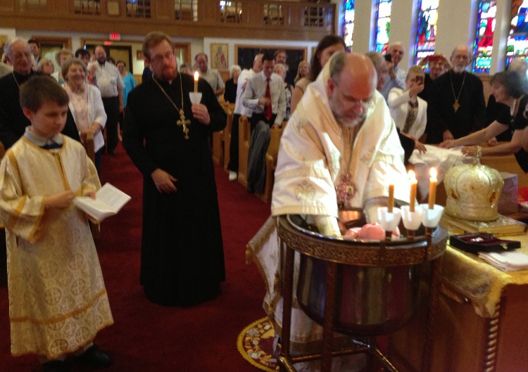 Photo 12 from Welcome to Little Sofia