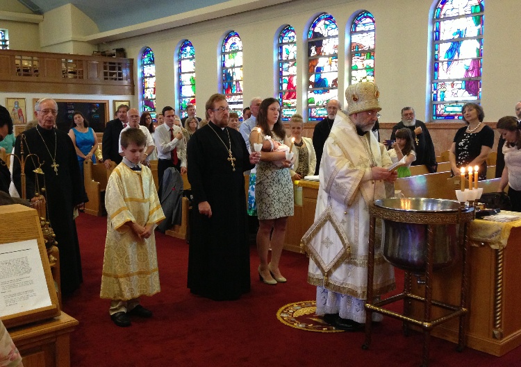 Photo 7 from Welcome to Little Sofia