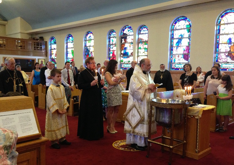 Photo 8 from Welcome to Little Sofia