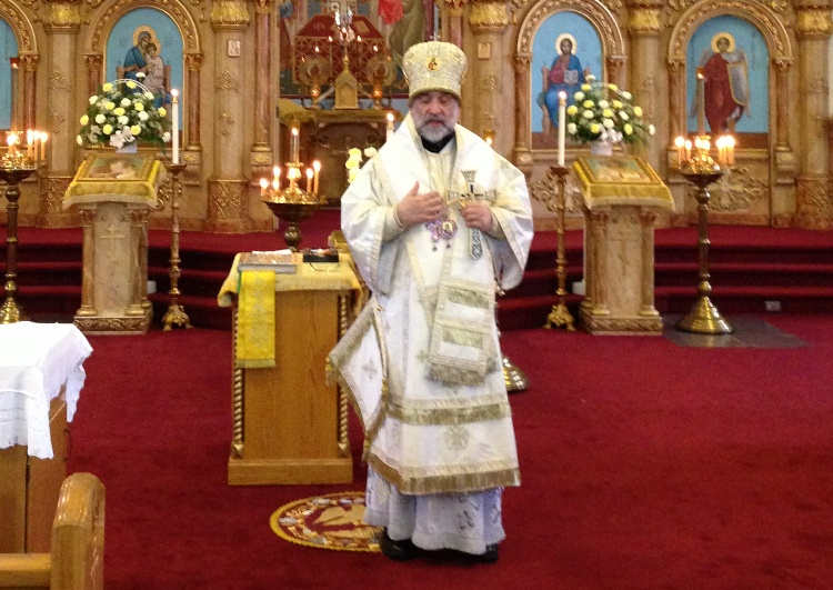 Photo 23 from Welcome to Little Sofia