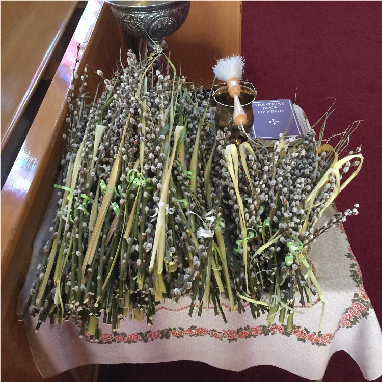 Photo 2 from Palm Sunday at St. John's