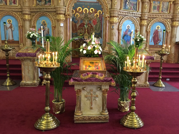 Photo 2 from Palm Sunday Pictures