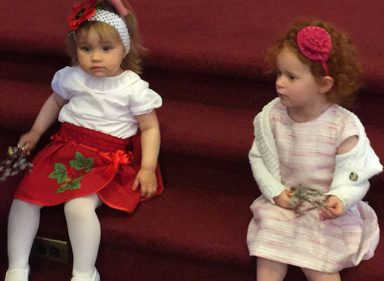 Photo 14 from Palm Sunday Pictures