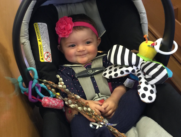 Photo 18 from Palm Sunday Pictures