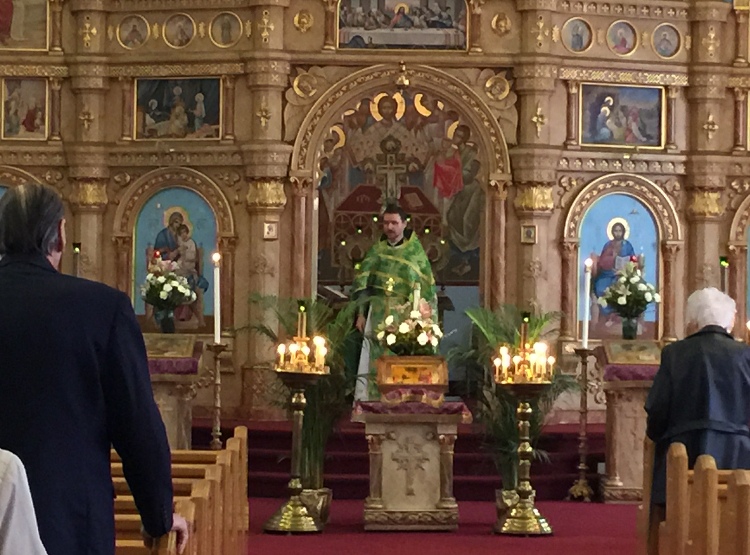 Photo 5 from Palm Sunday Pictures